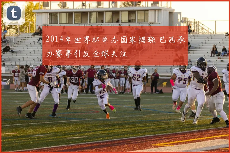 2014年世界杯举办国家揭晓 巴西承办赛事引发全球关注
